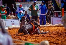 Niger : 50ème édition du sabre national Kokowa Tahoua 2025 : huit (8) gladiateurs qualifiés pour les 1/4 de finale