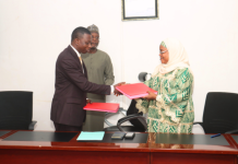 Niger : l’Etat du Niger mise sur le solaire pour renforcer sa capacité énergétique