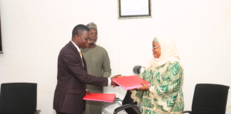 Niger : l’Etat du Niger mise sur le solaire pour renforcer sa capacité énergétique