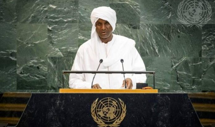 ONU NIGER